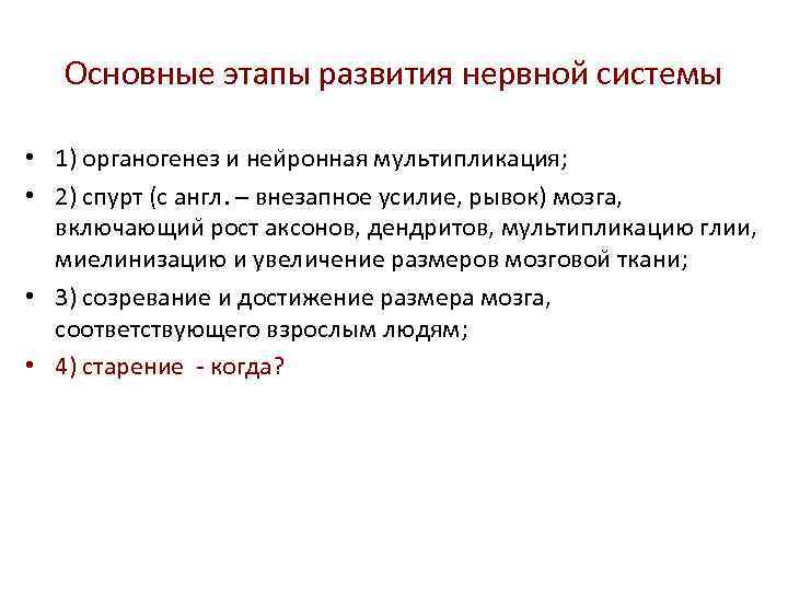 Основные этапы развития нервной системы • 1) органогенез и неи ронная мультипликация; • 2)