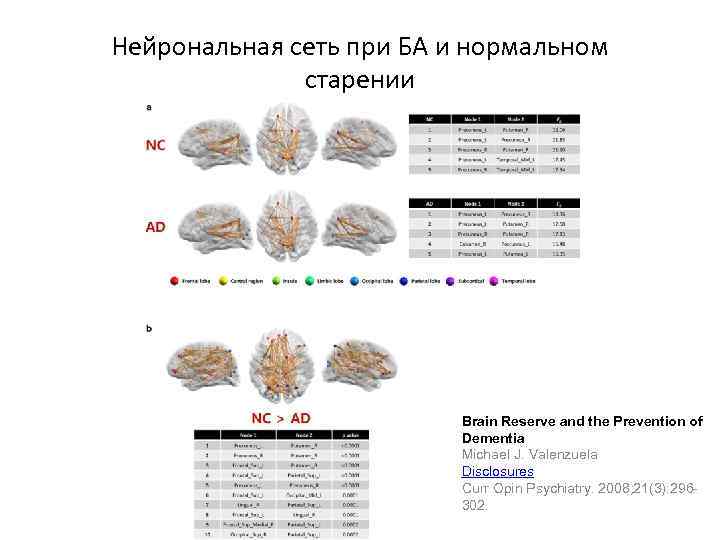 Нейрональная сеть при БА и нормальном старении Brain Reserve and the Prevention of Dementia