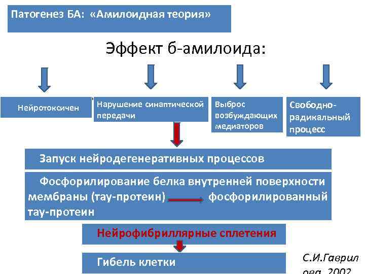 Патогенез БА: «Амилоидная теория» Эффект б-амилоида: Запуск нейродегенеративных изменений в рядом расположенных нейронах Нейротоксичен