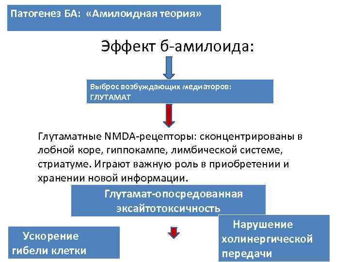 Патогенез БА: «Амилоидная теория» Эффект б-амилоида: Выброс возбуждающих медиаторов: ГЛУТАМАТ Глутаматные NMDA-рецепторы: сконцентрированы в
