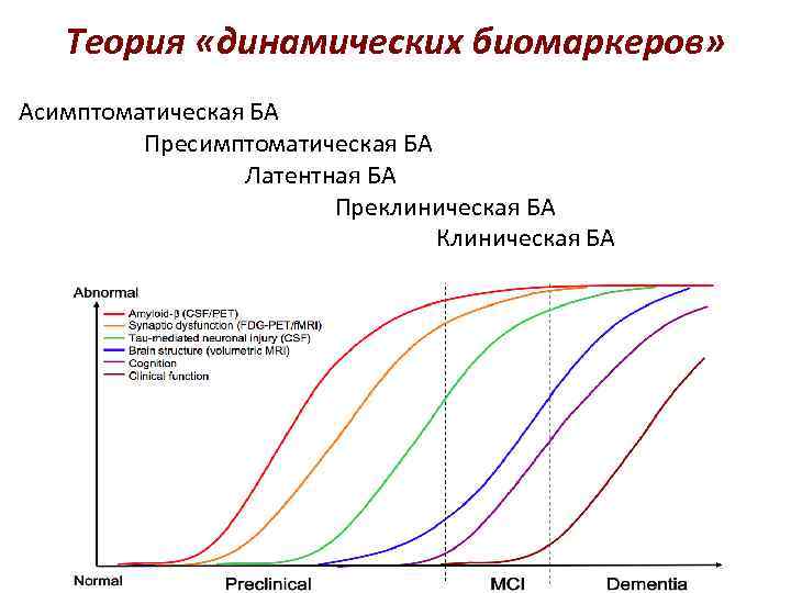Теория «динамических биомаркеров» Асимптоматическая БА Пресимптоматическая БА Латентная БА Преклиническая БА Клиническая БА 