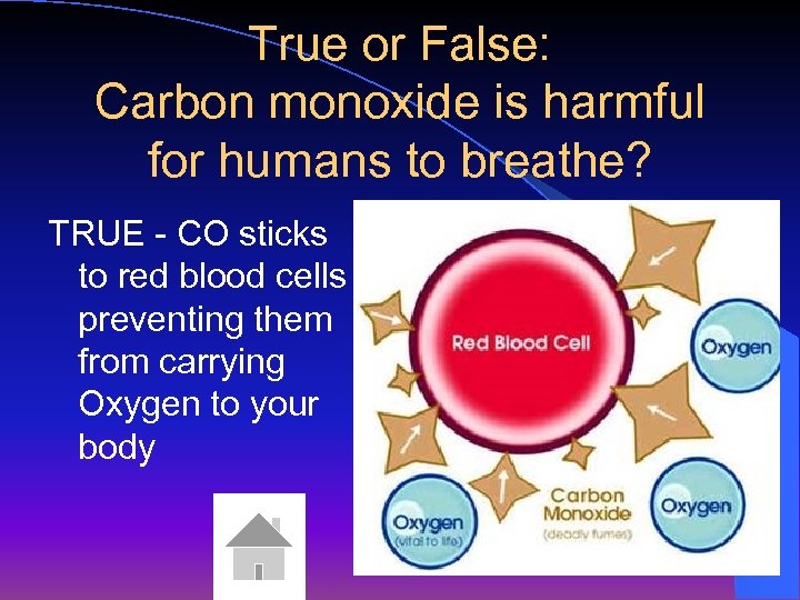 True or False: Carbon monoxide is harmful for humans to breathe? TRUE - CO
