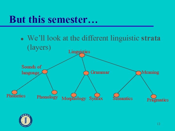 But this semester… l We’ll look at the different linguistic strata (layers) Linguistics Sounds