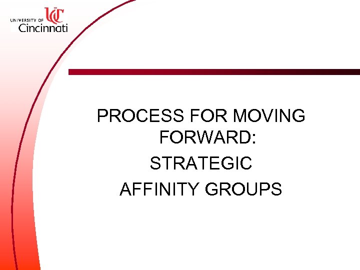 PROCESS FOR MOVING FORWARD: STRATEGIC AFFINITY GROUPS 