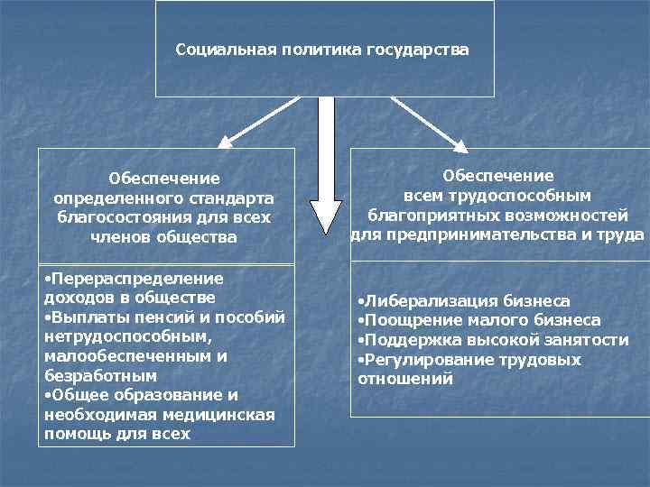 Социальная политика государства Обеспечение определенного стандарта благосостояния для всех членов общества • Перераспределение доходов