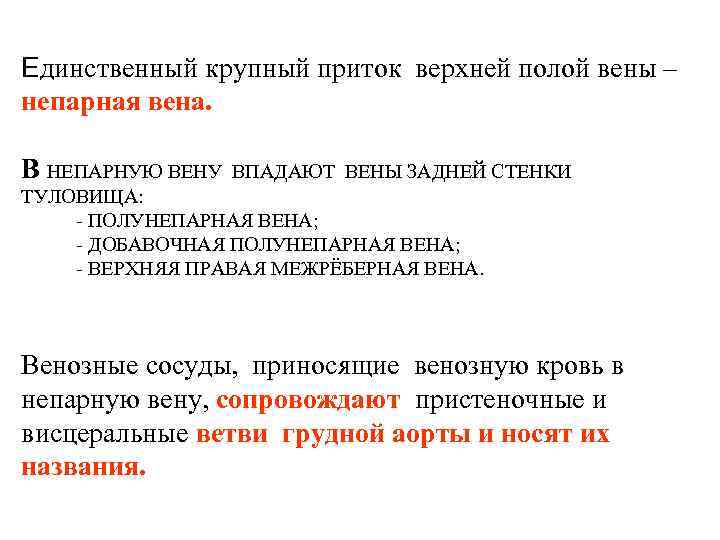 Единственный крупный приток верхней полой вены – непарная вена. В НЕПАРНУЮ ВЕНУ ВПАДАЮТ ВЕНЫ