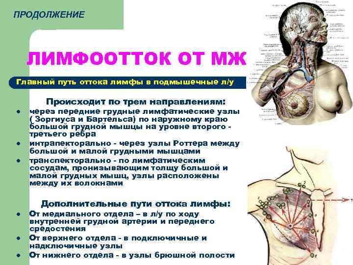 ПРОДОЛЖЕНИЕ ЛИМФООТТОК ОТ МЖ Главный путь оттока лимфы в подмышечные л/у Происходит по трем