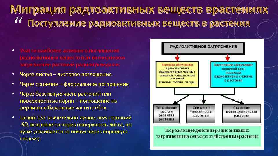 Презентация способы ликвидации последствий заражения токсичными и радиоактивными веществами окружающей среды