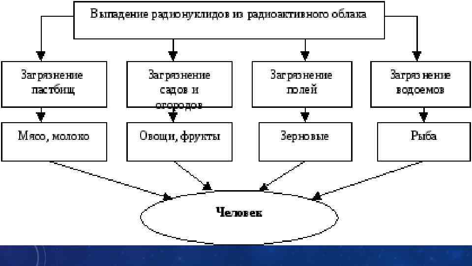 Пути миграции и накопление в биосфере токсичных и радиоактивных веществ схема