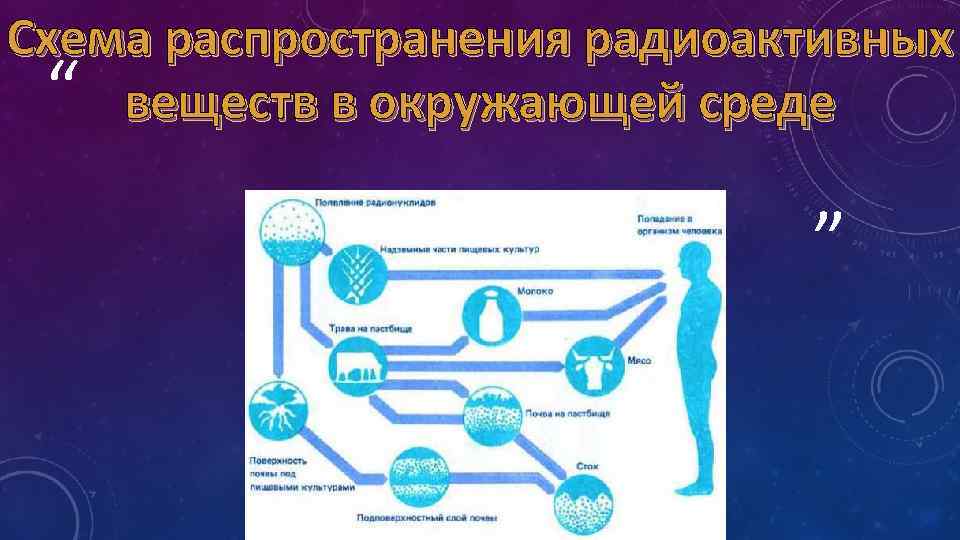 Схема миграции радионуклидов во внешней среде