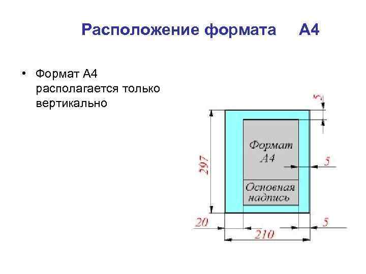 Вертикальный диаметр