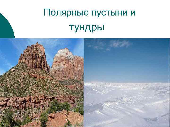Полярные пустыни и тундры 