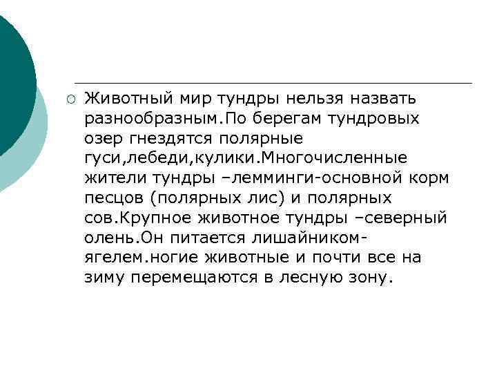 ¡ Животный мир тундры нельзя назвать разнообразным. По берегам тундровых озер гнездятся полярные гуси,