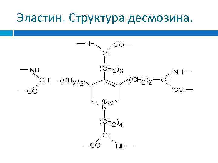 Эластин