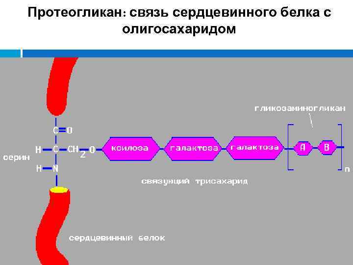 Схема межклеточной кооперации