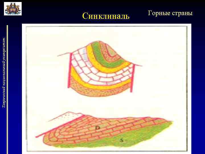 Таврический национальный университет. Синклиналь Горные страны 