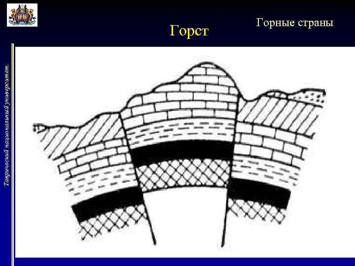 Таврический национальный университет. Горст Горные страны 