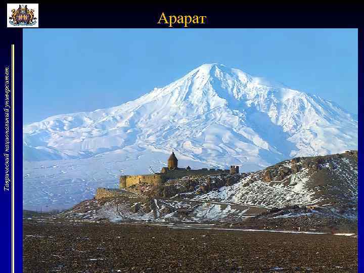 Таврический национальный университет. Арарат 