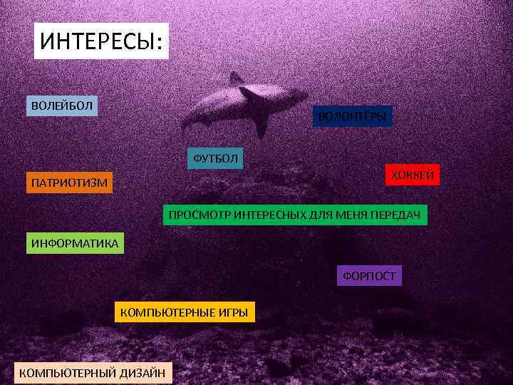 ИНТЕРЕСЫ: ВОЛЕЙБОЛ ВОЛОНТЁРЫ ФУТБОЛ ХОККЕЙ ПАТРИОТИЗМ ПРОСМОТР ИНТЕРЕСНЫХ ДЛЯ МЕНЯ ПЕРЕДАЧ ИНФОРМАТИКА ФОРПОСТ КОМПЬЮТЕРНЫЕ
