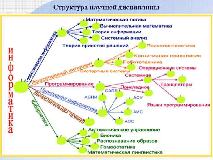 Структура научной дисциплины 