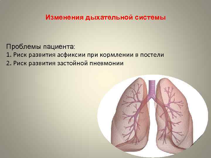 Изменения дыхательной системы Проблемы пациента: 1. Риск развития асфиксии при кормлении в постели 2.