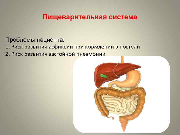 Пищеварительная система Проблемы пациента: 1. Риск развития асфиксии при кормлении в постели 2. Риск