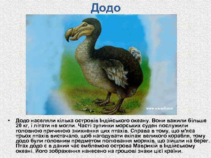 Додо • Додо населяли кілька островів Індійського океану. Вони важили більше 20 кг, і