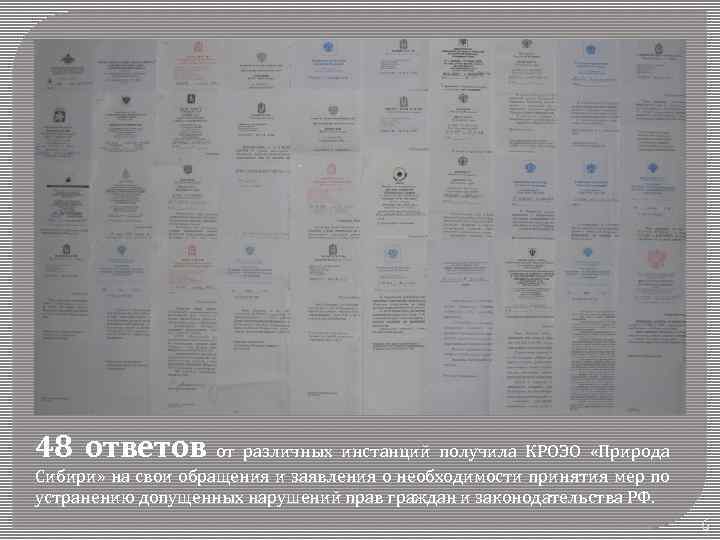 48 ответов от различных инстанций получила КРОЭО «Природа Сибири» на свои обращения и заявления