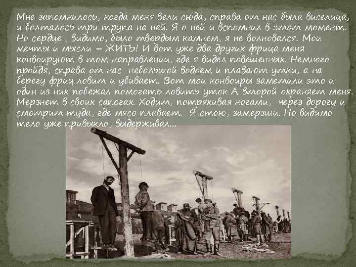 Мне запомнилось, когда меня вели сюда, справа от нас была виселица, и болталось три