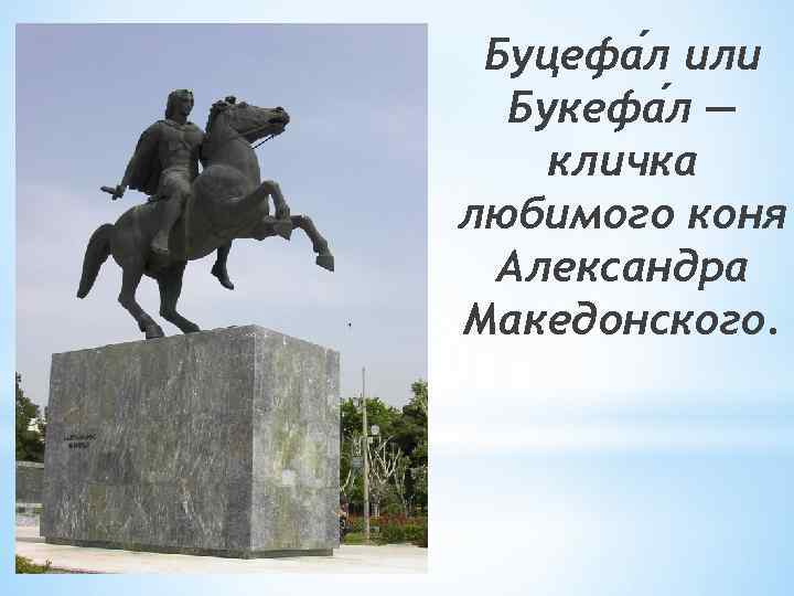 Буцефа л или Букефа л — кличка любимого коня Александра Македонского. 