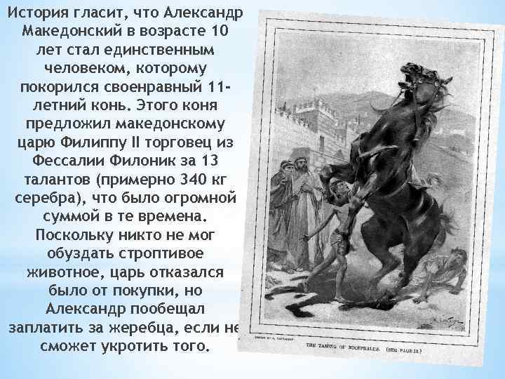 Буцефал текст. Буцефал Александра Македонского. Александр Македонский и его конь Буцефал. Интересные факты о македонском. Рассказ про Александра Македонского.