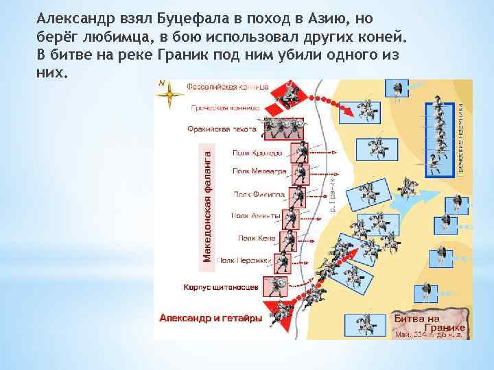 Александр взял Буцефала в поход в Азию, но берёг любимца, в бою использовал других