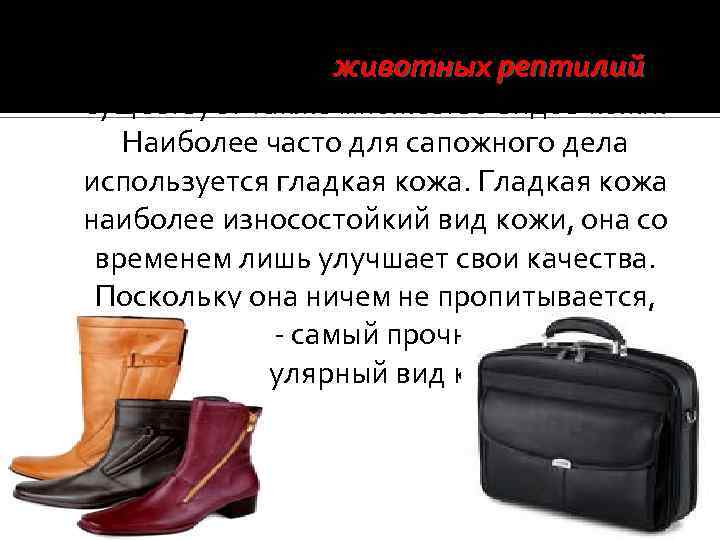 Кроме того, что кожу получают от различных разновидностей животных рептилий, рептилий существует также множество