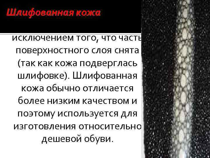 Шлифованная кожа подобна гладкой коже, за исключением того, что часть поверхностного слоя снята (так