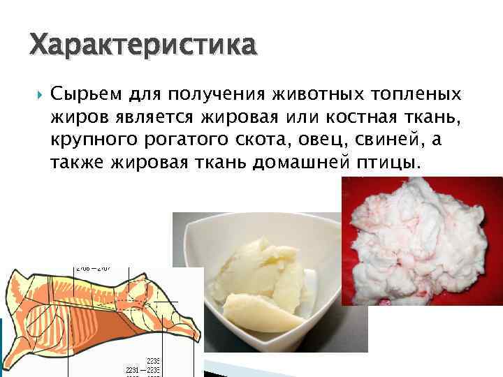 Характеристика Сырьем для получения животных топленых жиров является жировая или костная ткань, крупного рогатого