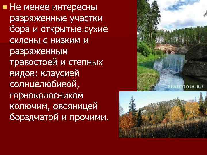 n Не менее интересны разряженные участки бора и открытые сухие склоны с низким и