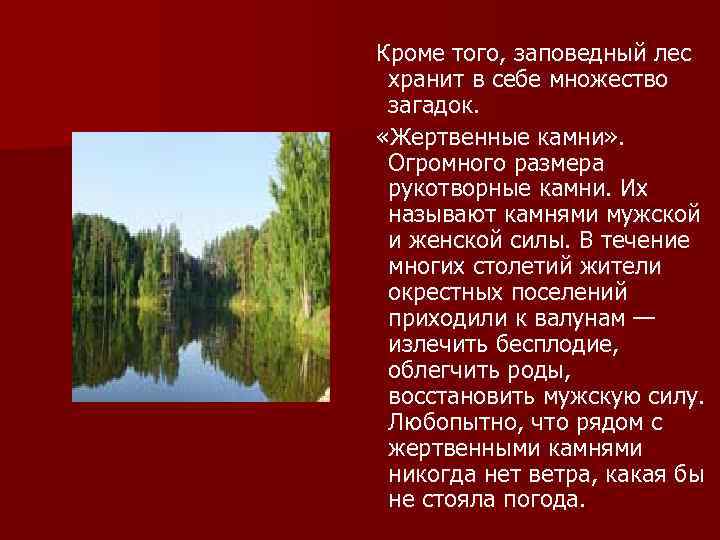 Кроме того, заповедный лес хранит в себе множество загадок. «Жертвенные камни» . Огромного размера