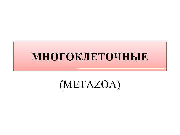 МНОГОКЛЕТОЧНЫЕ (METAZOA) 