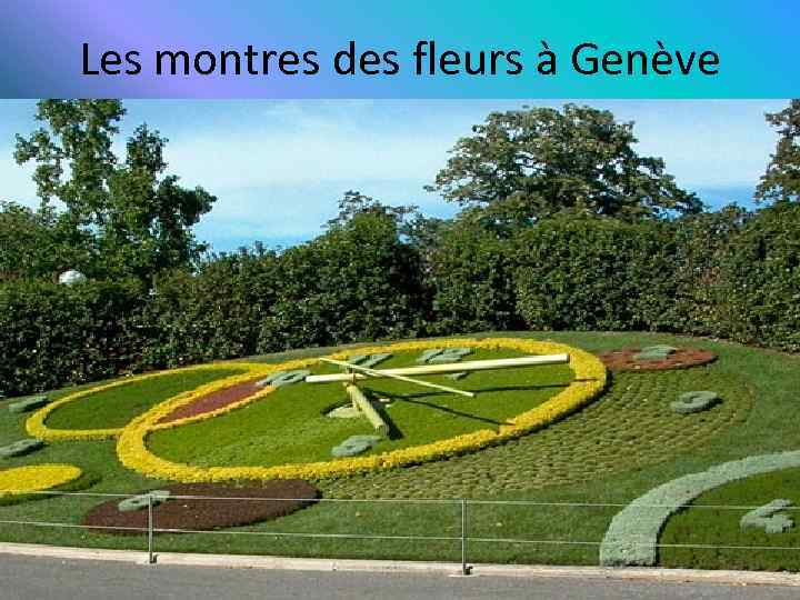 Les montres des fleurs à Genève 