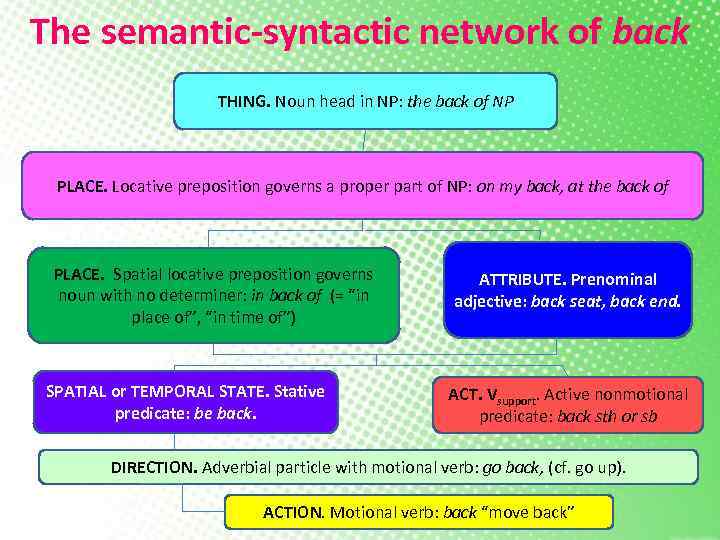 The semantic-syntactic network of back THING. Noun head in NP: the back of NP