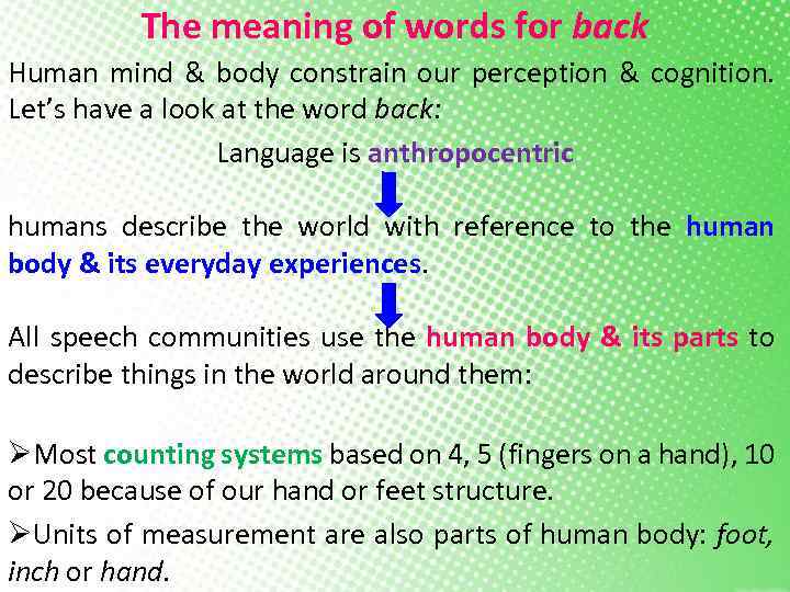 The meaning of words for back Human mind & body constrain our perception &