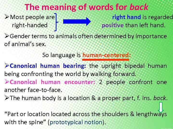 The meaning of words for back ØMost people are right-handed right hand is regarded