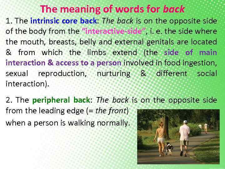 The meaning of words for back 1. The intrinsic core back: The back is