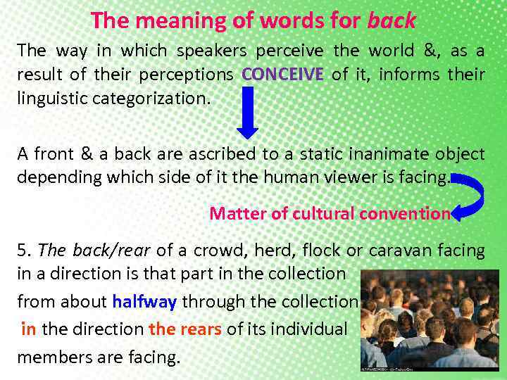 The meaning of words for back The way in which speakers perceive the world