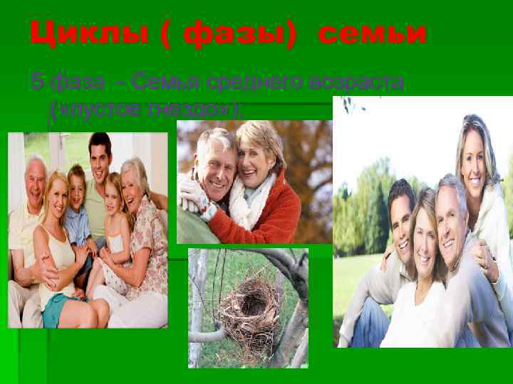 Циклы ( фазы) семьи 5 фаза - Семья среднего возраста ( «пустое гнездо» );