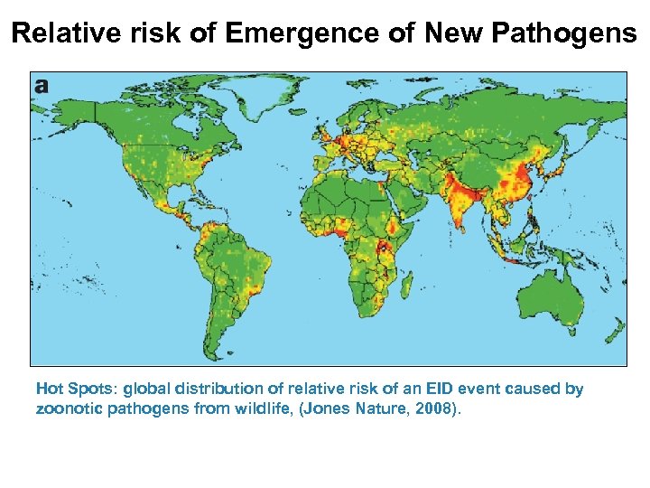 Relative risk of Emergence of New Pathogens Hot Spots: global distribution of relative risk
