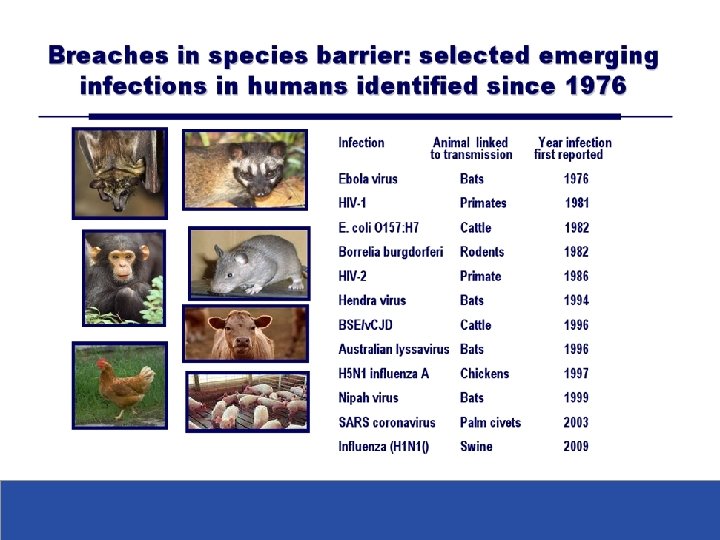 JITMM, Bangkok, 12 -14 December 2012 