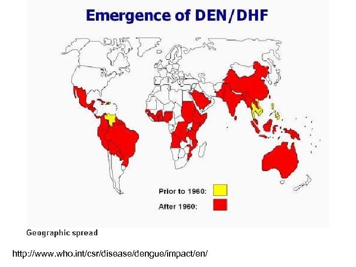 http: //www. who. int/csr/disease/dengue/impact/en/ 