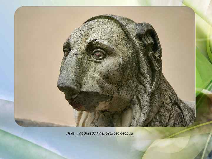 Львы у подъезда Павловского дворца 