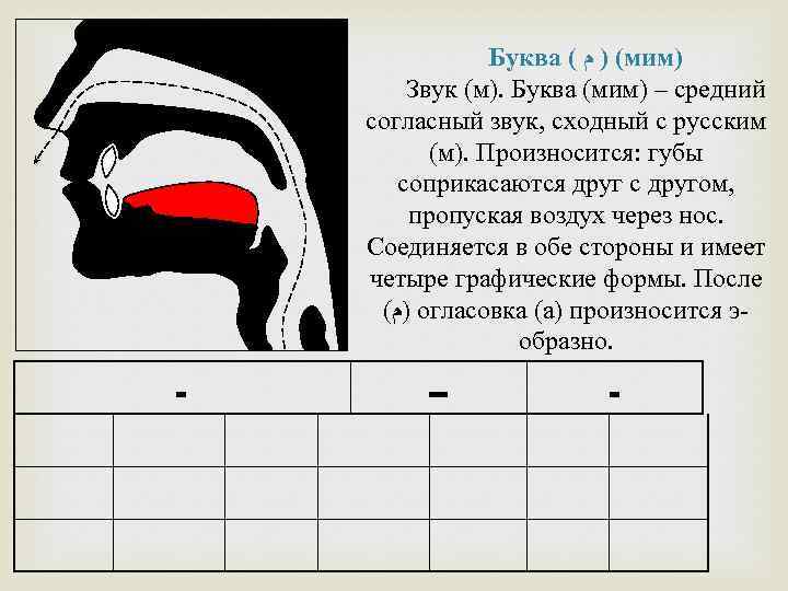 Буква ( ( ) ﻡ мим) Звук (м). Буква (мим) – средний согласный звук,